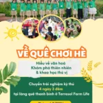 Kiến Tạo Tư Duy Hướng Tới Tương Lai Từ Trại Hè 4N3Đ “Về Quê Chơi Hè” 3