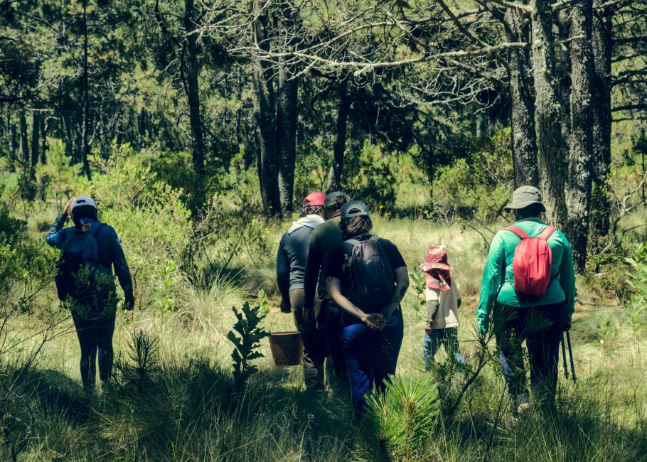 Bí quyết tổ chức hoạt động teambuilding gắn kết đồng đội tại trại hè năm 2026 hiệu quả